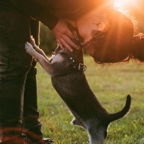 We love our furry friends a woman hugging her dog